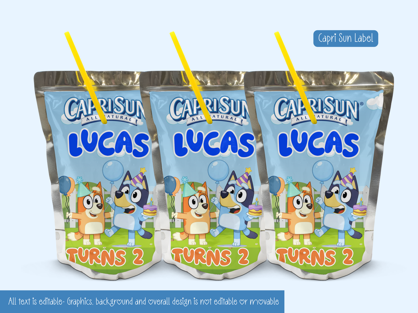 Bluey Inspired Birthday Party Bundle Template | Editable Canva Party Decorations
