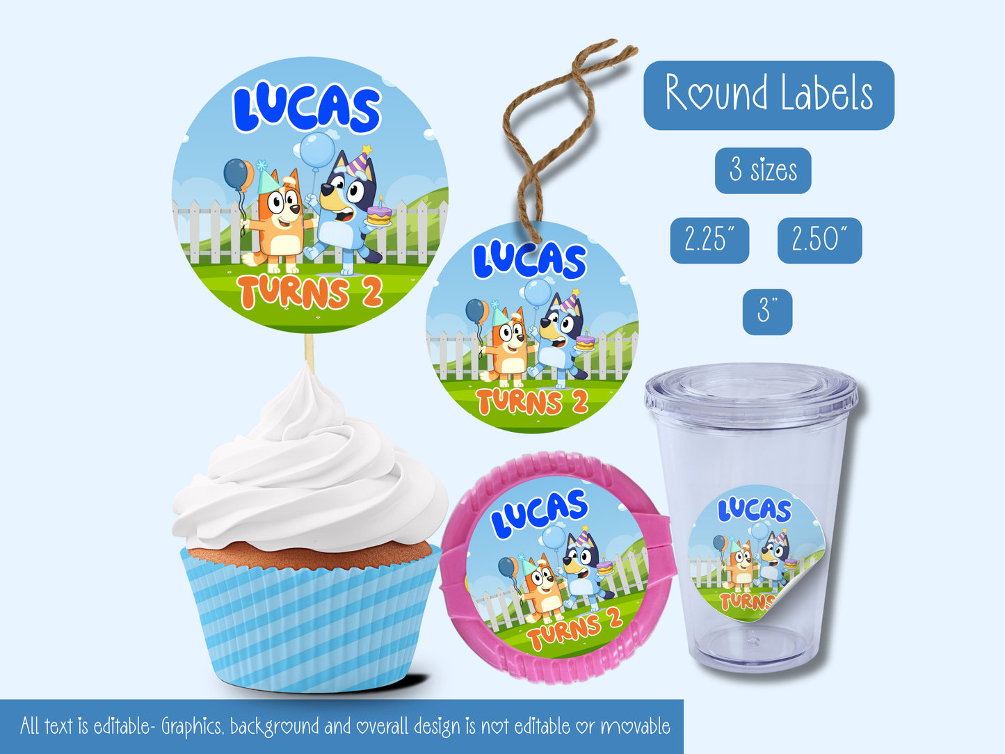Bluey Inspired Birthday Party Bundle Template | Editable Canva Party Decorations